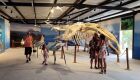 Projeto Albatroz oferece vagas gratuitas em oficinas de artesanato para mulheres de Cabo Frio