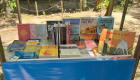 Com mais de 40 livros e lançamentos, Sopha volta a um dos maiores eventos literários do país: a Flip