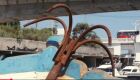 Curta registra cotidiano dos pescadores do Canal do Itajuru, em Cabo Frio