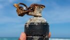 Voluntários encontram granada durante limpeza em praia de Arraial