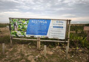 MPF e MPRJ investigam retirada de vegetação de restinga na orla de Tamoios