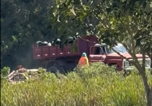 Descarte de lixo na Fazenda Campos Novos, em Cabo Frio, vira caso de polícia