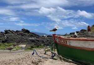 Entre a preservação e a identidade perdida: as dores de crescimento de uma cidade de 410 anos