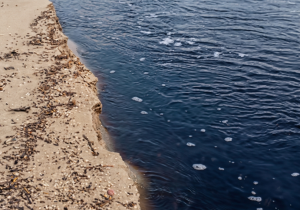 Prefeituras de Cabo Frio e Búzios alegam avaliar causas da poluição no Rio Una