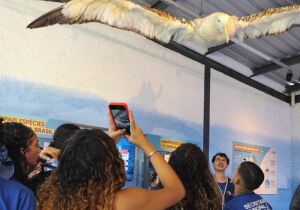 Projeto Albatroz completa três anos em Cabo Frio com ações gratuitas de educação ambiental

