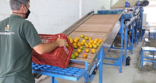 Agricultores de Araruama ganham máquina de beneficiamento de frutas cítricas