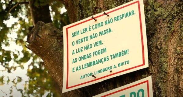Prefeito José Bonifácio desautoriza notificação que acabava com a Árvore do Saber no Jardim Caiçara