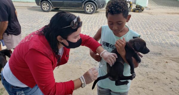 Campanha de Vacinação Antirrábica em Arraial se estende por mais duas semanas