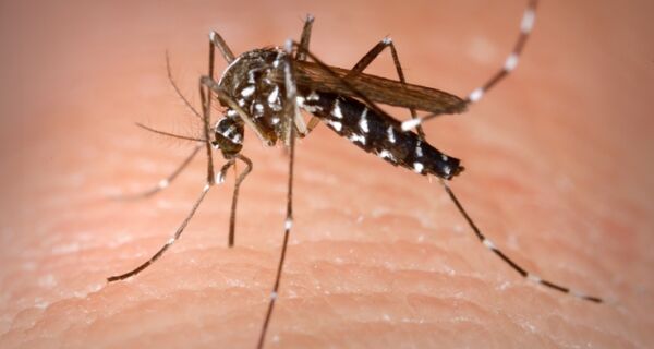 São Pedro da Aldeia alerta a população sobre os cuidados com o mosquito Aedes aegypti