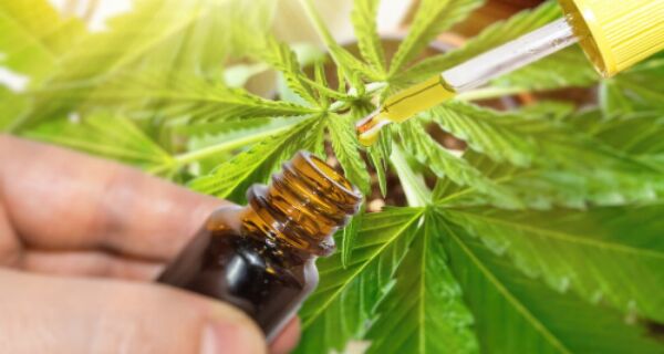 Búzios é o primeiro município do estado a adotar o uso da cannabis medicinal