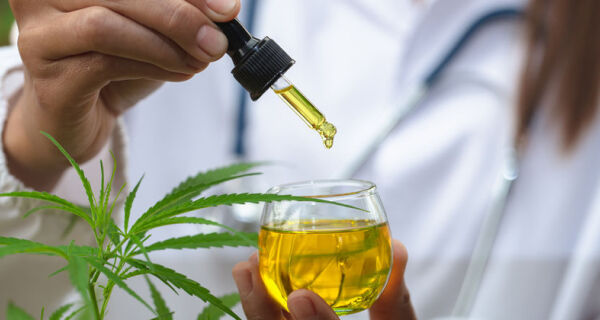 Uso medicinal da planta cannabis está em pauta na Câmara de Cabo Frio