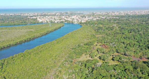 Demolição de casas no Parque do Mico Leão Dourado é suspensa