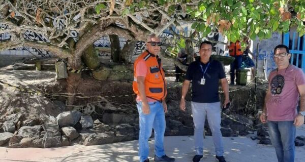 Árvores da Azeda e Azedinha afetadas por fortes ventos e marés altas sofrem intervenção em Búzios