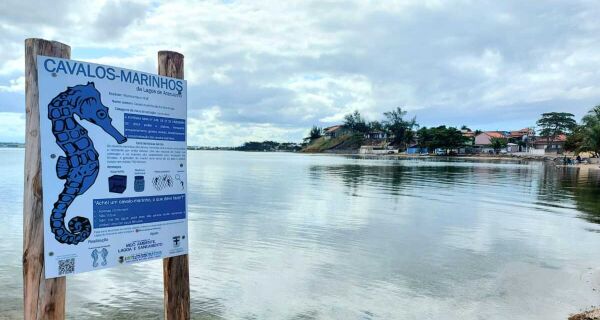 Praia do Arrastão ganha placa de preservação dos cavalos-marinhos em São Pedro da Aldeia