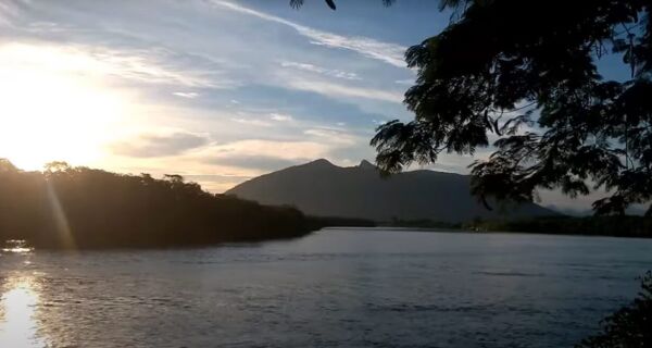 Estado lança programa de reposição florestal para recuperar 200 hectares da Bacia do Rio São João