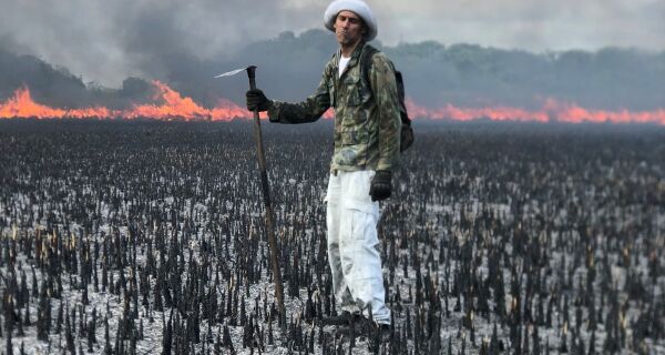 Prejuízos do incêndio no Peró serão sentidos por décadas