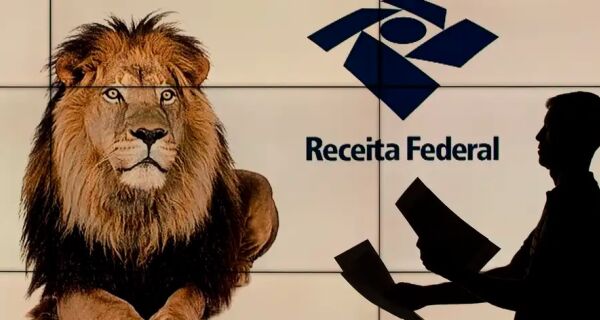 Empregadores têm o dia 29 para enviarem informe de rendimentos