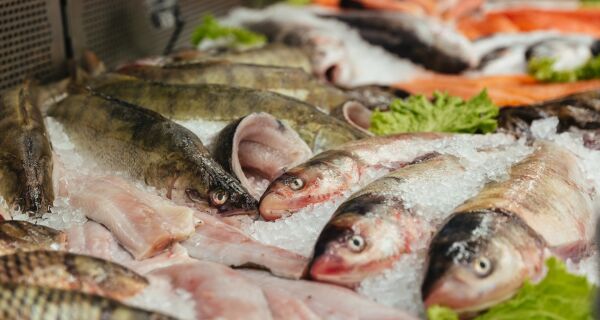 Prefeitura de Araruama vai realizar a 8&ordm; edição do Feirão do Peixe durante a Semana Santa