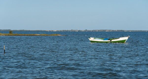 Volume de pesca na Lagoa de Araruama cresce 26%, aponta pesquisa da UVA em parceria com a Prolagos