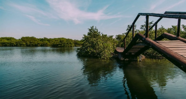 Inscrições abertas para a 1ª Conferência Municipal de Meio Ambiente de Cabo Frio