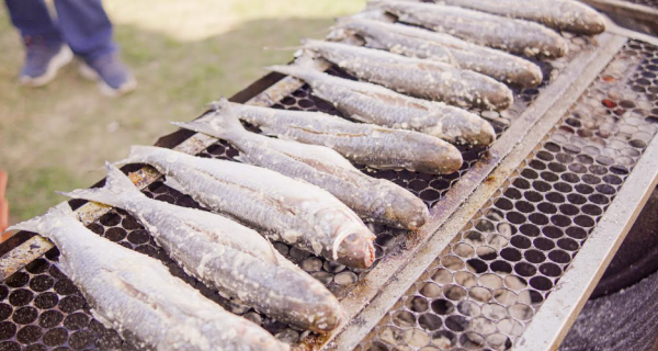 Festival Cultural e Gastronômico acontece neste fim de semana, em São Pedro da Aldeia