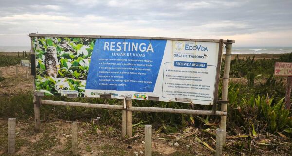 MPF e MPRJ investigam retirada de vegetação de restinga na orla de Tamoios