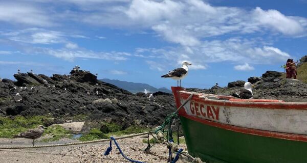 Entre a preservação e a identidade perdida: as dores de crescimento de uma cidade de 410 anos