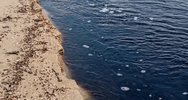 Prefeituras de Cabo Frio e Búzios alegam avaliar causas da poluição no Rio Una