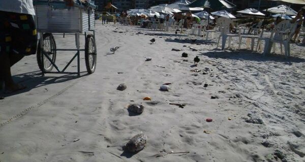 Grande quantidade de peixes mortos na areia impressiona banhistas na Praia do Forte