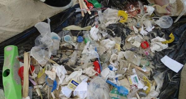 Ação Ambiental recolhe 16 mil resíduos em praias de Cabo Frio