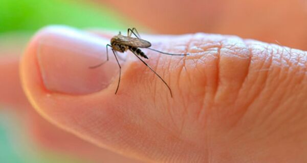 Epidemia de dengue avança na região