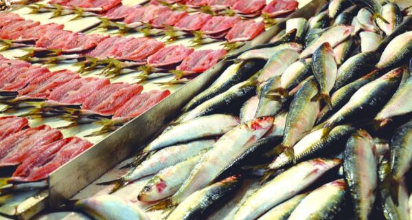 Está proibida a pesca da sardinha