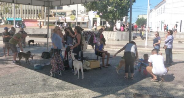 Praça Porto Rocha recebe Feira de Adoção de Animais nesta terça (29)