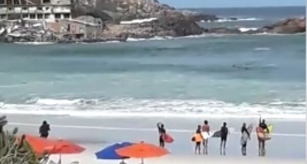 Suspeita de presença de tubarões assusta surfistas na Praia Grande