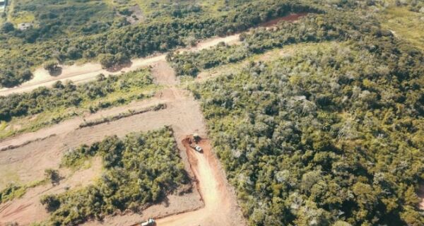 Desmatamento ameaça região da falésia em Maria Joaquina