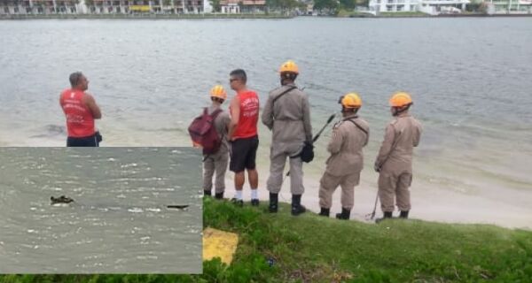 Jacaré aparece no Canal Itajuru e assusta pescadores