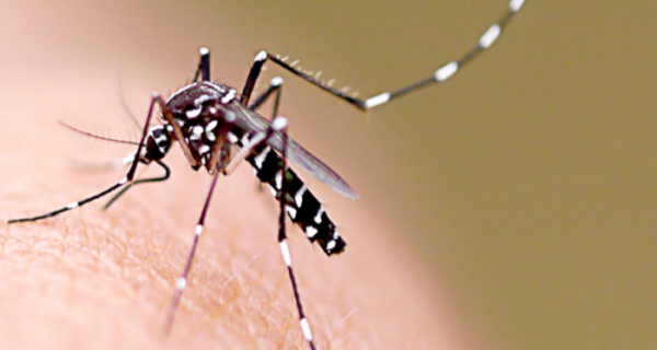 Municípios da Região dos Lagos intensificam combate à dengue