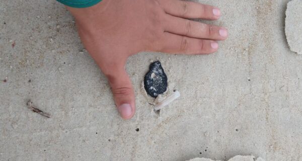 Fragmentos suspeitos são encontrados entre as praias do Peró e das Conchas 