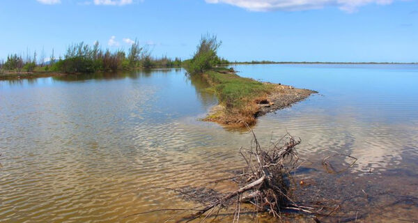Defeso da Lagoa de Araruama começa neste sábado e vai até 31 de outubro 