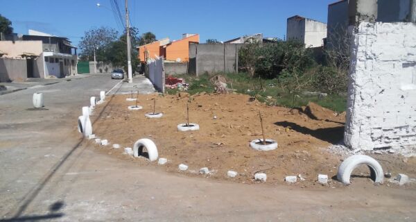 Após reclamações, Prefeitura e moradores transformam 'lixão' em jardim nas Palmeiras