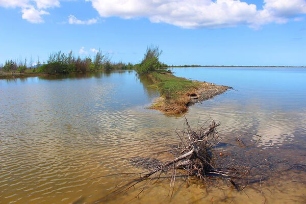 Defeso da Lagoa de Araruama começa neste sábado e vai até 31 de outubro