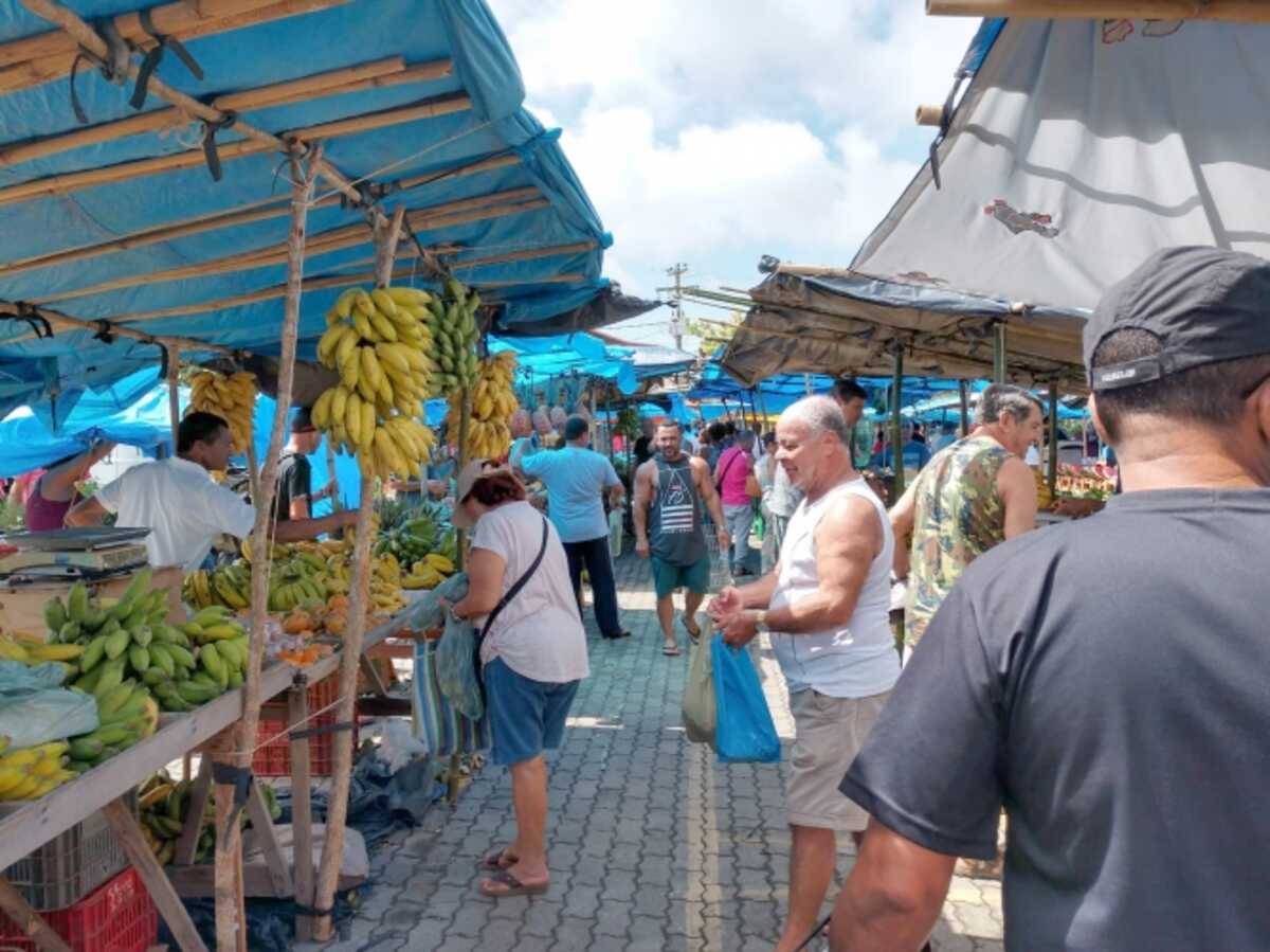 Mercado Diário - Folha Vitória