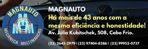 Magnauto site